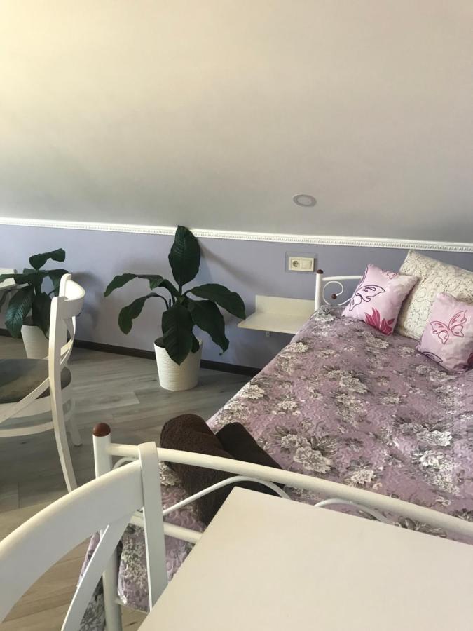 Villa Galicia Berehowo Zewnętrze zdjęcie
