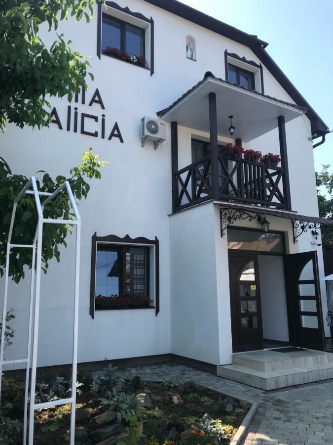 Villa Galicia Berehowo Zewnętrze zdjęcie